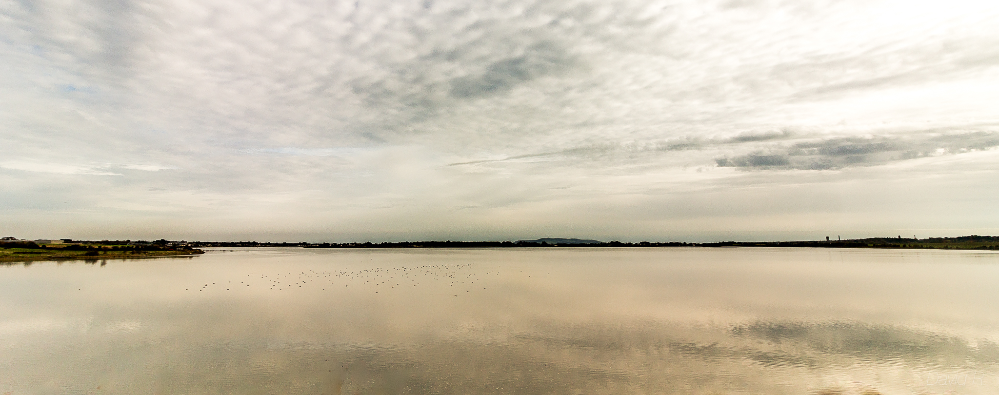 Reflective Mood