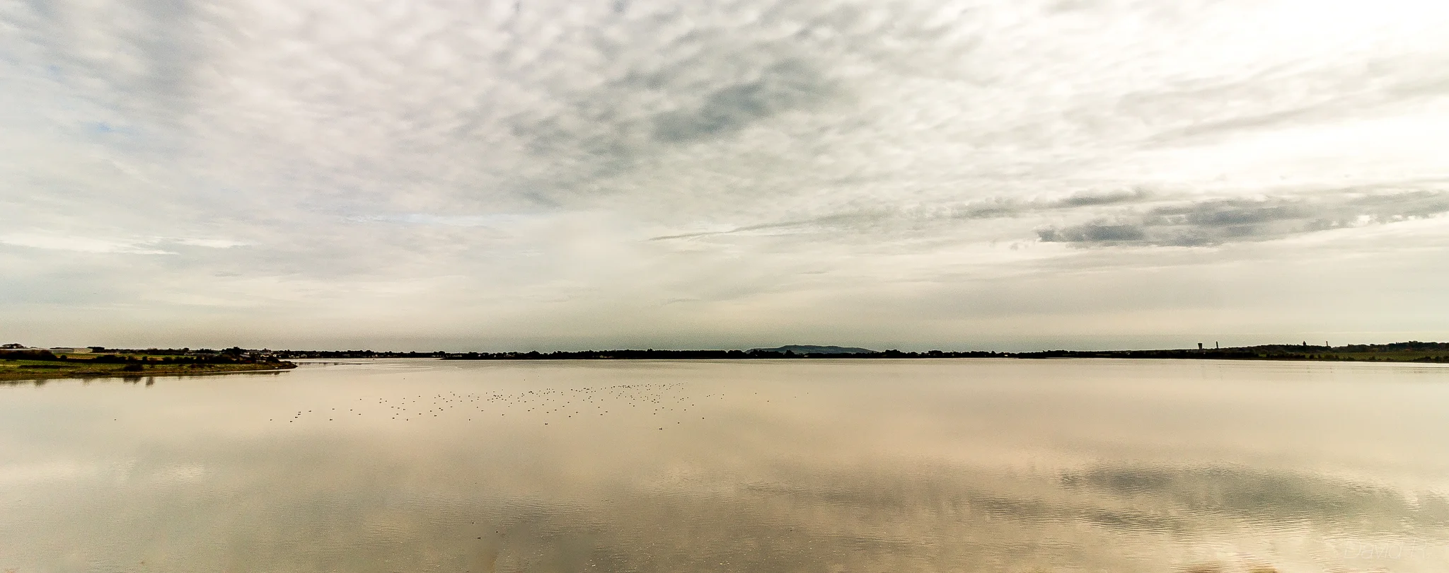 Reflective Mood